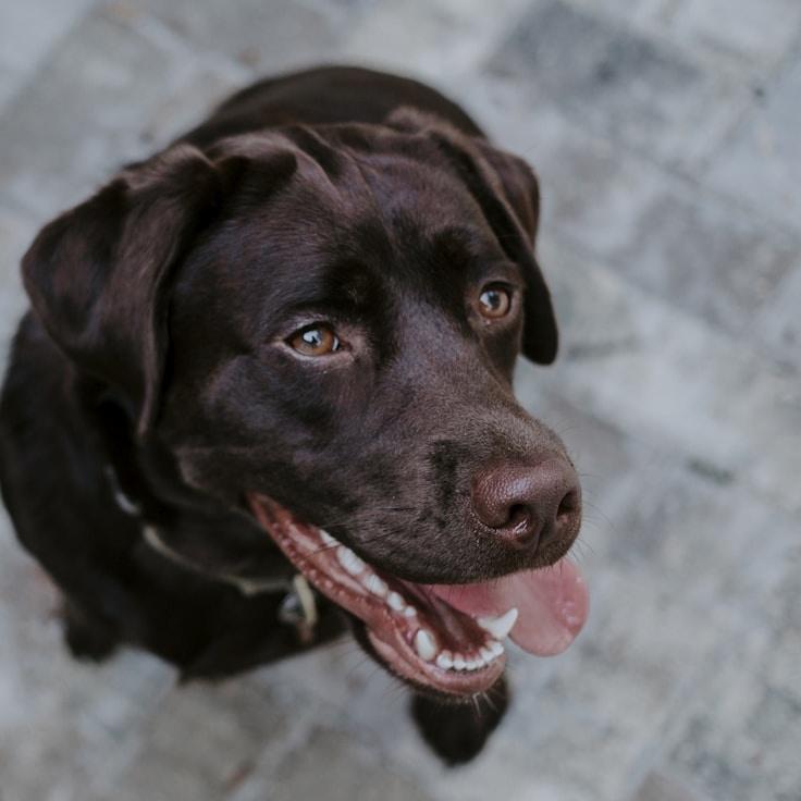 Sophie de Vries - Founder of GladDuneCipher